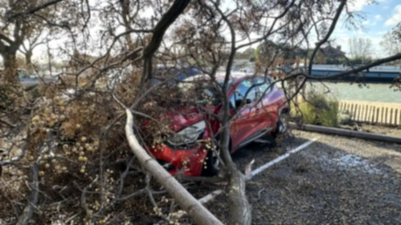 Tempête Pedro à Béziers : fermeture des parcs et cimetières ce jeudi