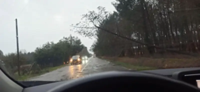 Tempête Pedro dans les Landes : vents jusqu'à 109 km/h et 4 300 foyers privés d'électricité