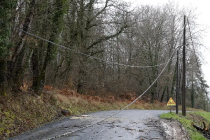 Tempête Pedro en Dordogne : Nouvelle alerte aux vents violents après Nils
