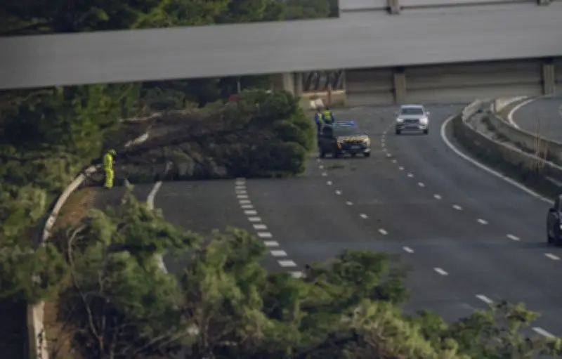 Tempête Pedro et Bison Futé rouge : circulation très difficile dans l'Est et le Sud