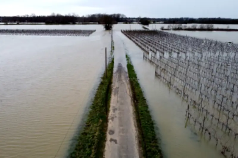 Tempête Pedro et Quentin dérèglent l'Europe, Zuckerberg dans la tourmente
