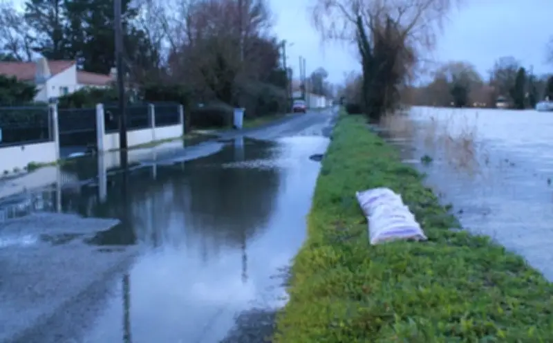 Tempête Pedro : Inondations et dégâts importants dans le nord de l'Aunis