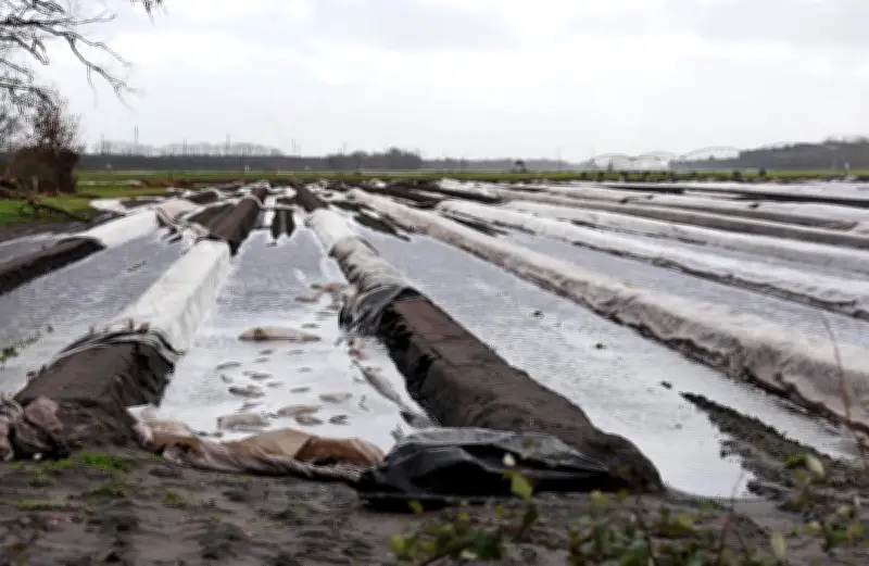 Tempêtes dans les Landes : le Modef dénonce un système assurantiel inégalitaire