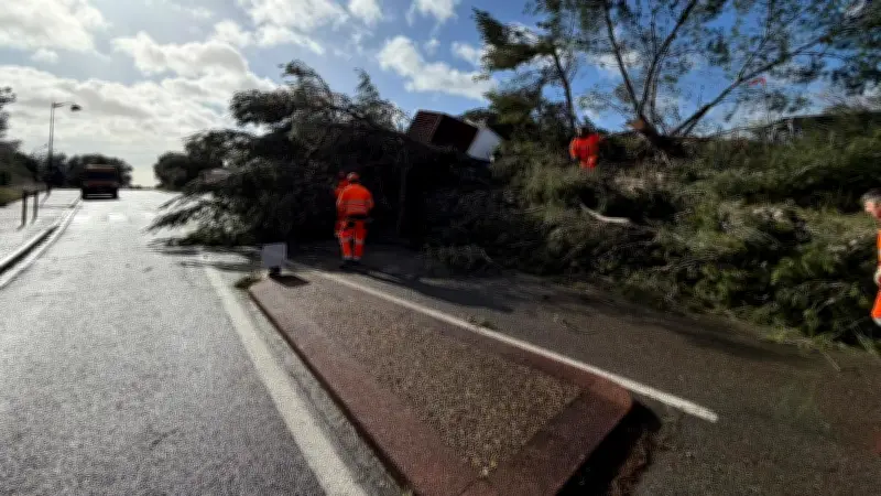 Tempêtes dans l'Hérault : les élus ruraux épuisés réclament reconnaissance