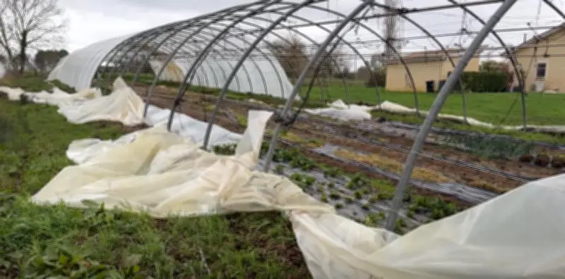 Tempêtes Nils, Oriana, Pedro : l'agriculture du Sud-Ouest dévastée par les intempéries
