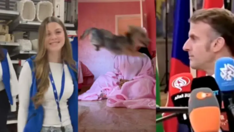 Tops et Flops du Web 2025 : Léonie, Pedro Pascal et les dérives de l'IA