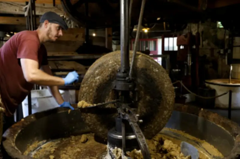 Trois nouveaux joyaux rejoignent les Grands Sites du Périgord, portant le réseau à 20 membres