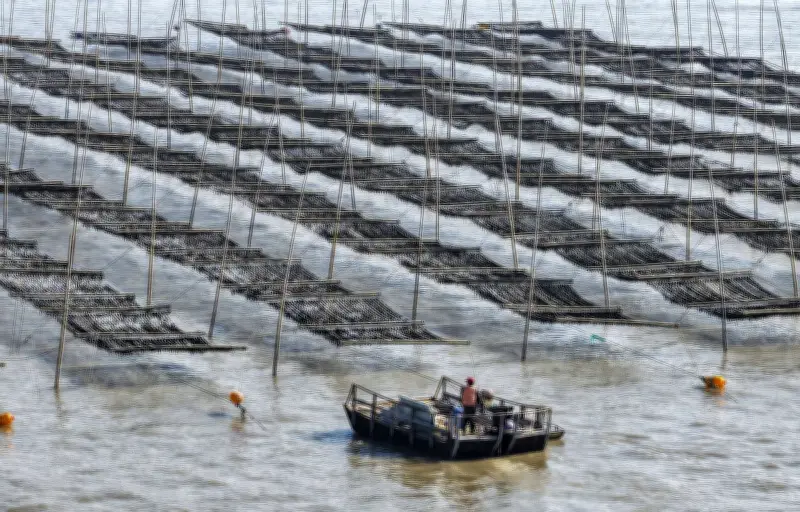 Un bateau de pêche chinois saisi par le Japon dans sa ZEE, tensions diplomatiques