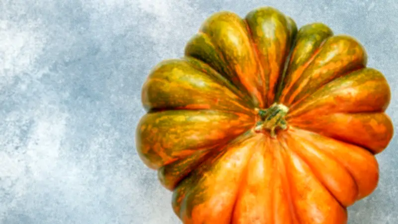 Un homme perd ses cheveux après avoir mangé une courge amère : un danger méconnu