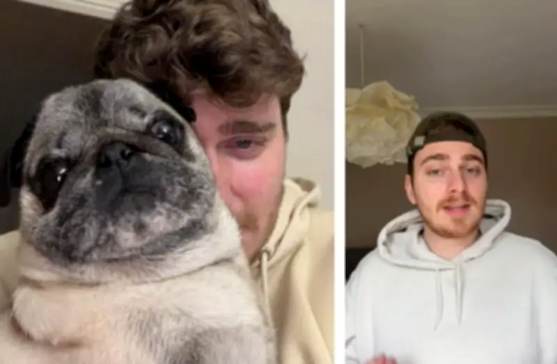 Un influenceur simule l'enlèvement de son chien, suscitant la colère des associations