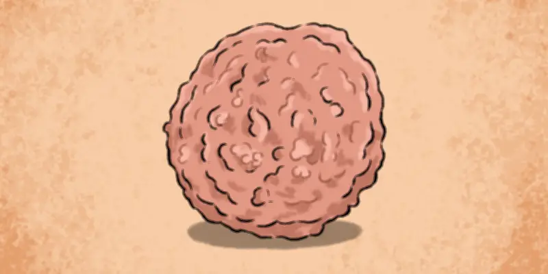 Un « minifoie » 3D révolutionne l'évaluation des dangers chimiques dans l'alimentation