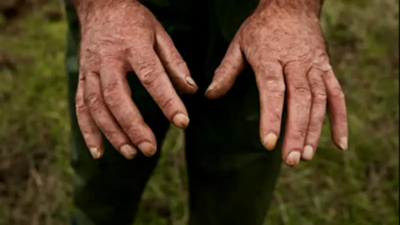 Un octogénaire survit miraculeusement à une chute de 80 mètres à Nice