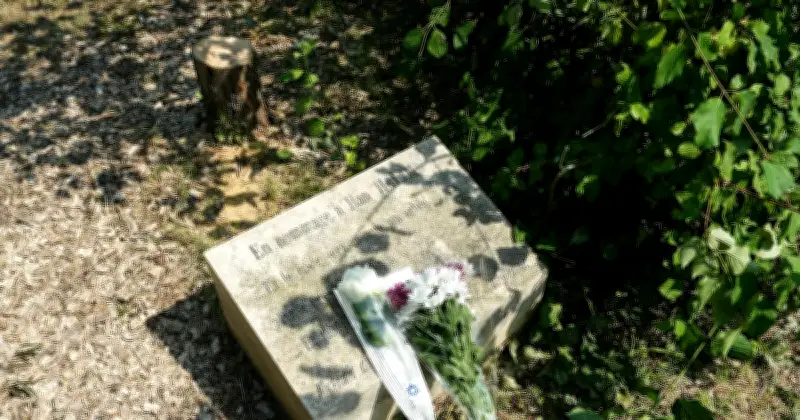 Un olivier pour Ilan Halimi planté à Saint-Rémy-de-Provence contre l'oubli