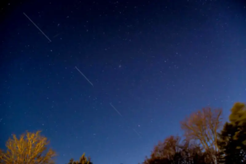 Un roman dystopique où un écrivain complote contre Elon Musk pour sauver les étoiles