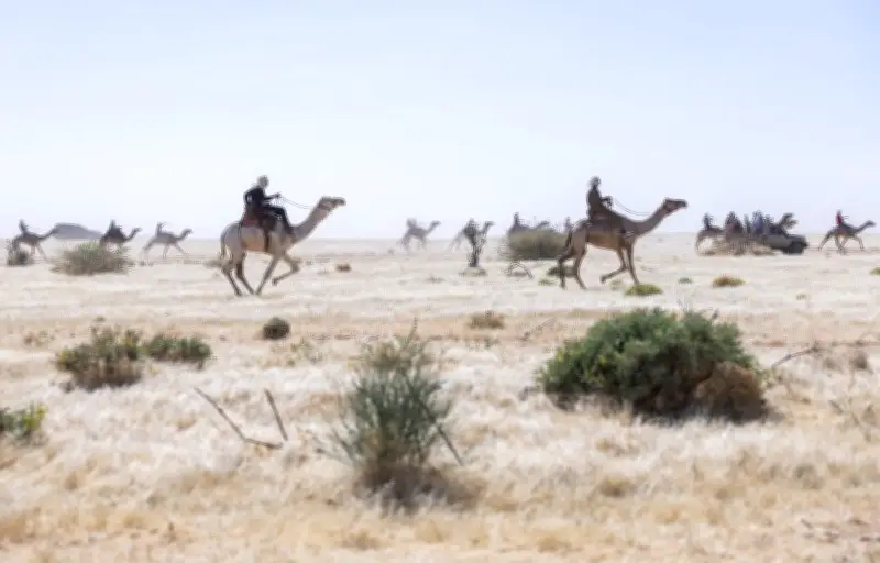Un touriste français disparaît au Tchad lors d'un festival saharien