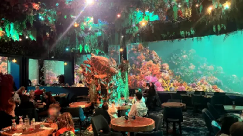 Under The Sea : l'expérience immersive des fonds marins débarque à Montpellier