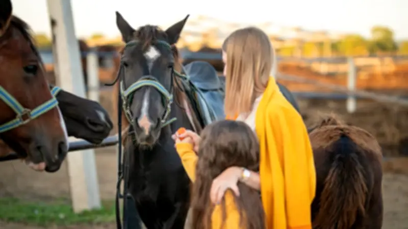 Une fillette de 3 ans meurt écrasée par un cheval au Texas, sa mère est une championne de rodéo