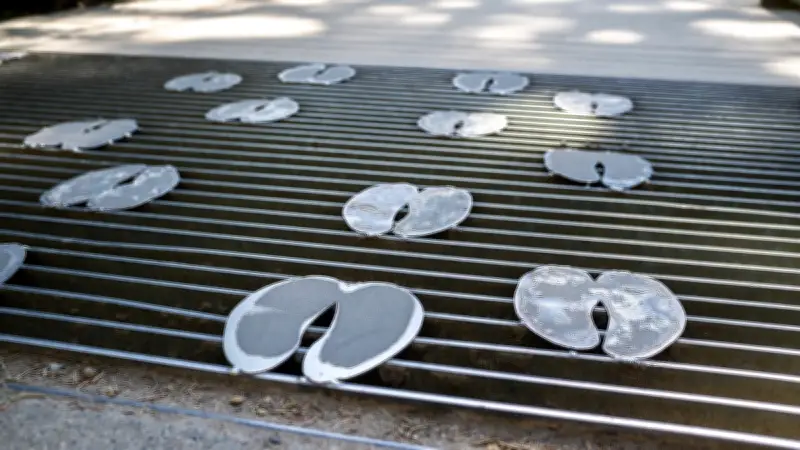 Une Liégeoise tombe dans un trou de 3,50 m en promenant ses chiens et frôle la mort