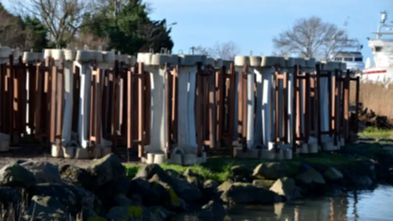 Une mangrove artificielle au Grau d'Agde : 140 modules immergés pour recharger la plage