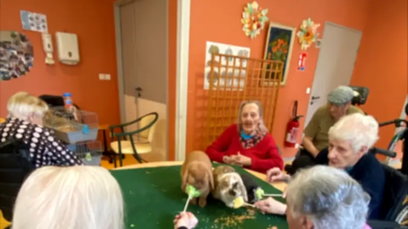 Une semaine d'animations enrichissantes à l'Ehpad Le Val d'Olt en Aveyron