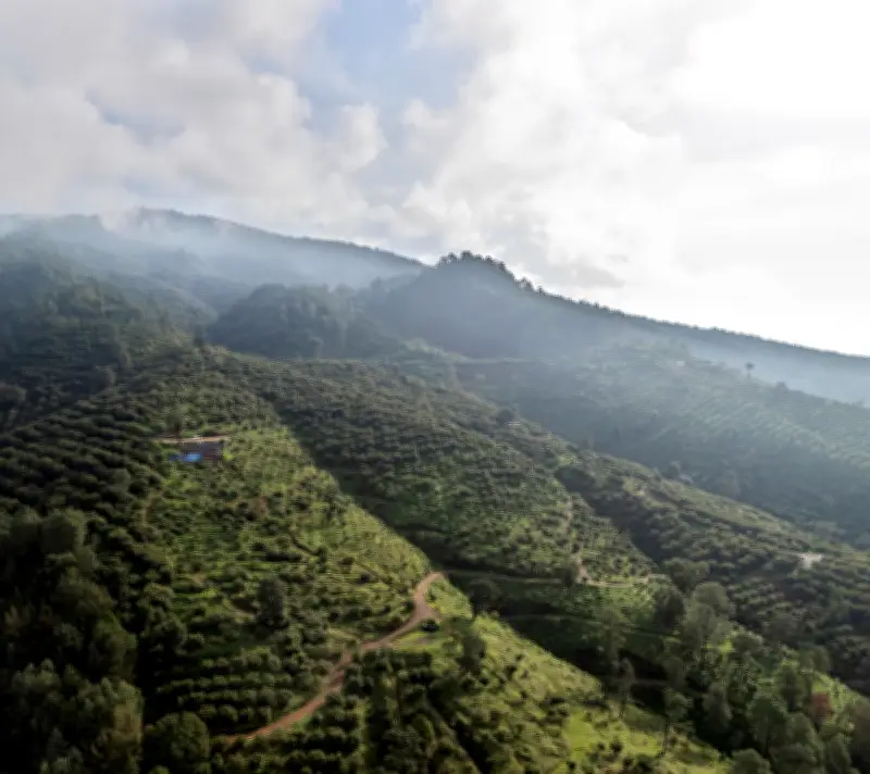 Uruapan : le maire assassiné, sa veuve et la guerre de l'avocat qui ensanglante le Mexique