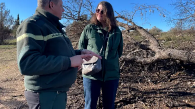 Valorisation des bois brûlés de la Gardiole : un chantier pour la régénération