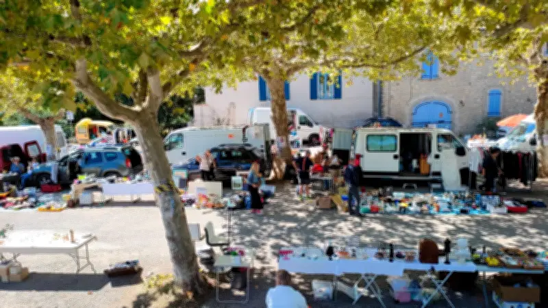 Vide-greniers de printemps à Sauve : solidarité pour les animaux de l'association Asela
