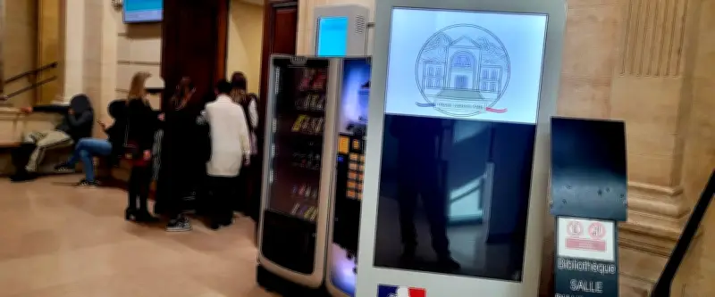 Violences conjugales à Alès : un homme condamné pour avoir frappé sa compagne et utilisé de l'eau de Javel