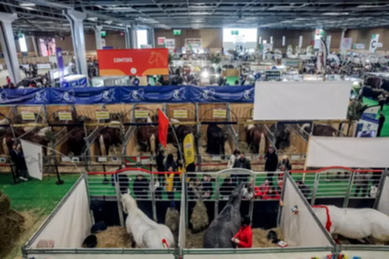 Violente altercation au Salon de l'agriculture : quinze interpellations après une rixe