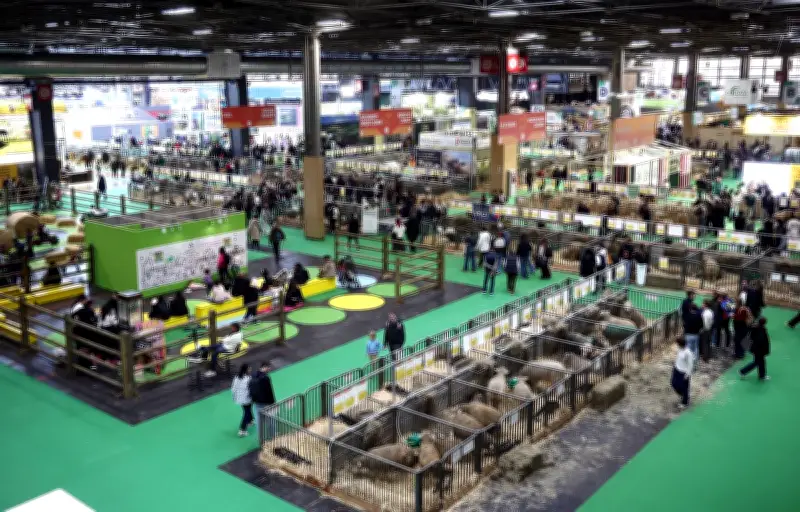 Violente rixe au Salon de l'agriculture : crachats, couteaux et coups de poing