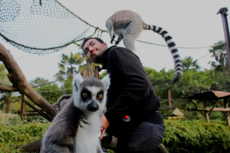 Zootechnik à Asson : une formation unique de soigneur animalier au cœur du zoo