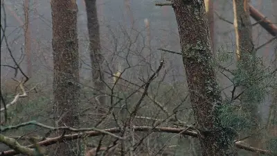 Alès ferme ses parcs municipaux face aux vents violents annoncés