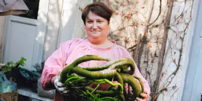 Aude Franjou, artiste textile, illumine Nemours avec ses créations en lin