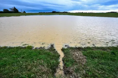 Carte des nappes phréatiques : la recharge ralentit malgré les pluies récentes
