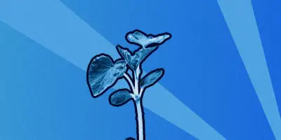 Des scientifiques alertent sur le décalage entre science et politique agricole