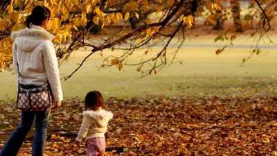 France mutualiste lance une plateforme d'éducation financière pour les femmes