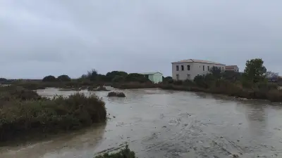 Frontignan : le corps de Maddy, 18 ans, retrouvé sans vie dans les Salins