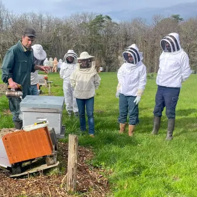 L'Abeille périgordine propose une formation apicole ouverte à tous à Trélissac