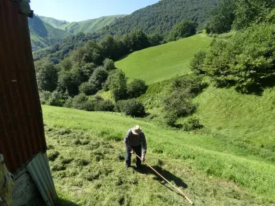 Le CPIE Pays basque lance un cycle de formation sur les savoir-faire du jardin en 2026