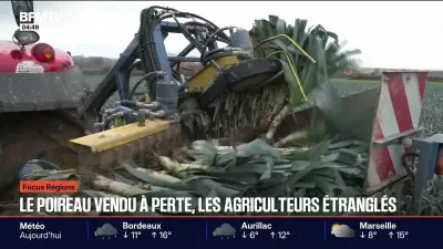 Le Mans : après Djokovic, une star du football va investir dans le club