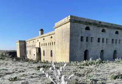 Les Cabanes de l'estuaire : un programme d'animations nature et patrimoine cet hiver