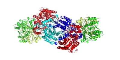 L'énigme de l'azote : comment la vie a appris à fixer l'élément le plus abondant