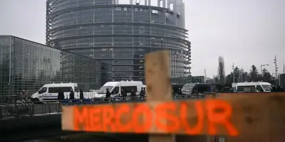 L'UE adopte des garde-fous pour protéger ses agriculteurs face au Mercosur