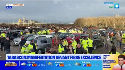 Manifestation devant Fibre Excellence à Tarascon contre la pollution industrielle