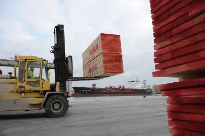 Port de Rochefort-Tonnay-Charente : le trafic 2025 en hausse grâce à Tonnay