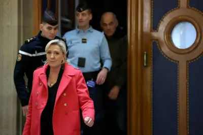 Procès du RN en appel : la défense plaide la relaxe de Marine Le Pen et des cadres