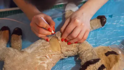 Réparatrices de doudous : elles accèdent à l'enfant intérieur de leurs clients