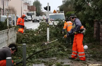 Tempête Nils dans les Landes : routes bloquées par des arbres et lignes électriques