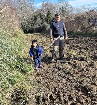 Une colonie de sangliers s'installe près du sentier de Parme, une battue organisée