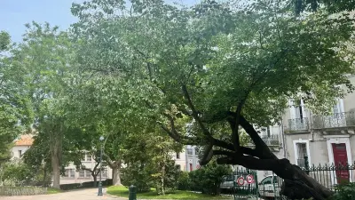 Vigilance orange vent violent : Sète ferme parcs et sites pour sécurité